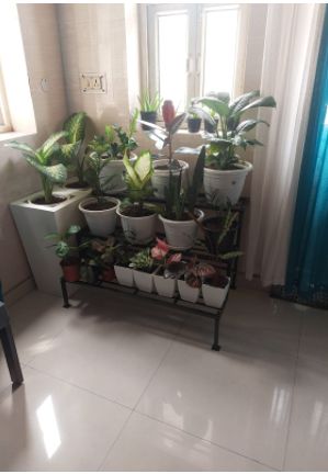 Customer photo review of 3 Step Stand for Multiple Plants and Pots Stand, Indoor Shelf Holder Rack, Gardening Stand,Indoor Outdoor (Black)