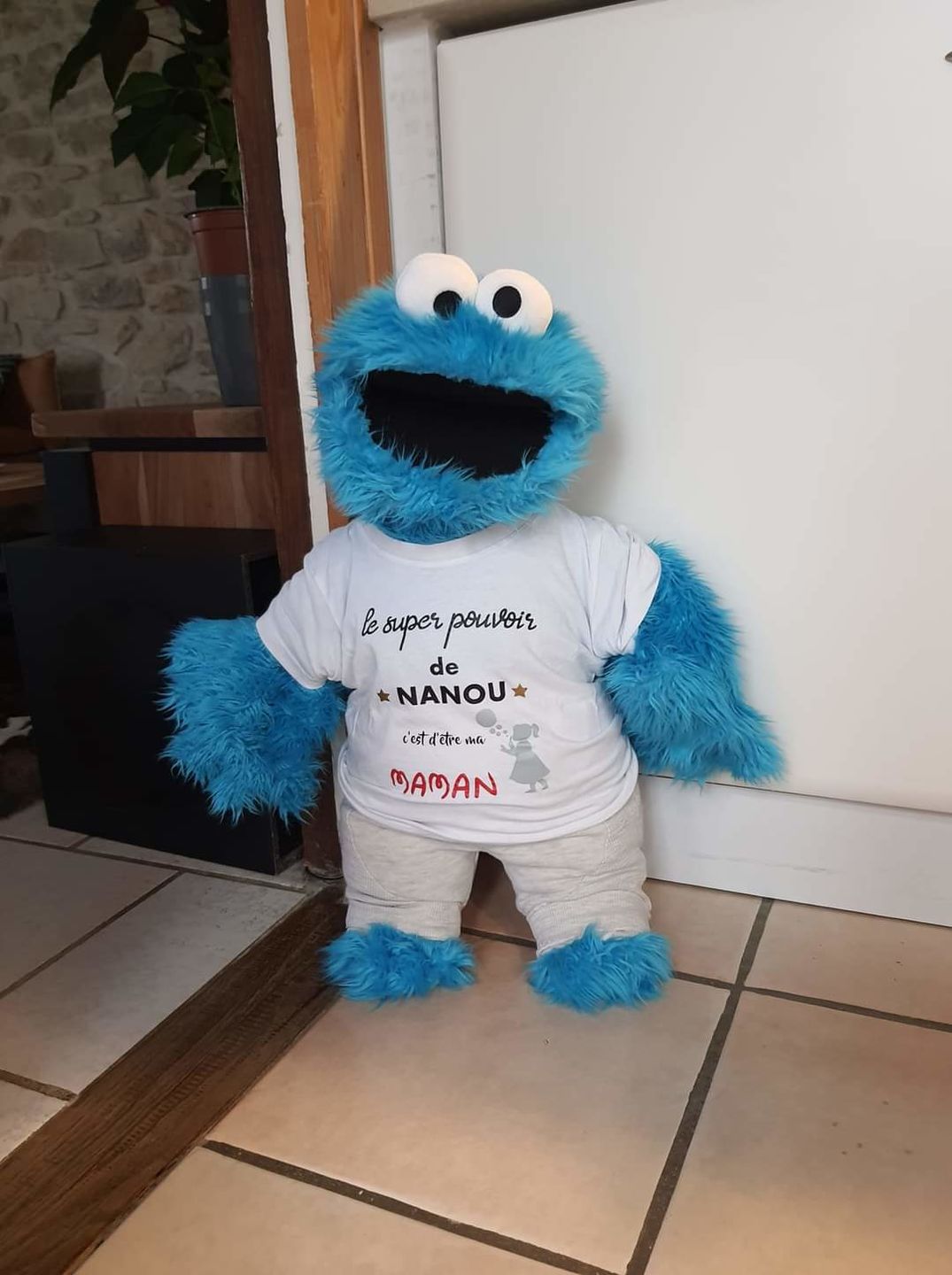 Customer photo review of Cookie Monster Marionnette Sesame Street