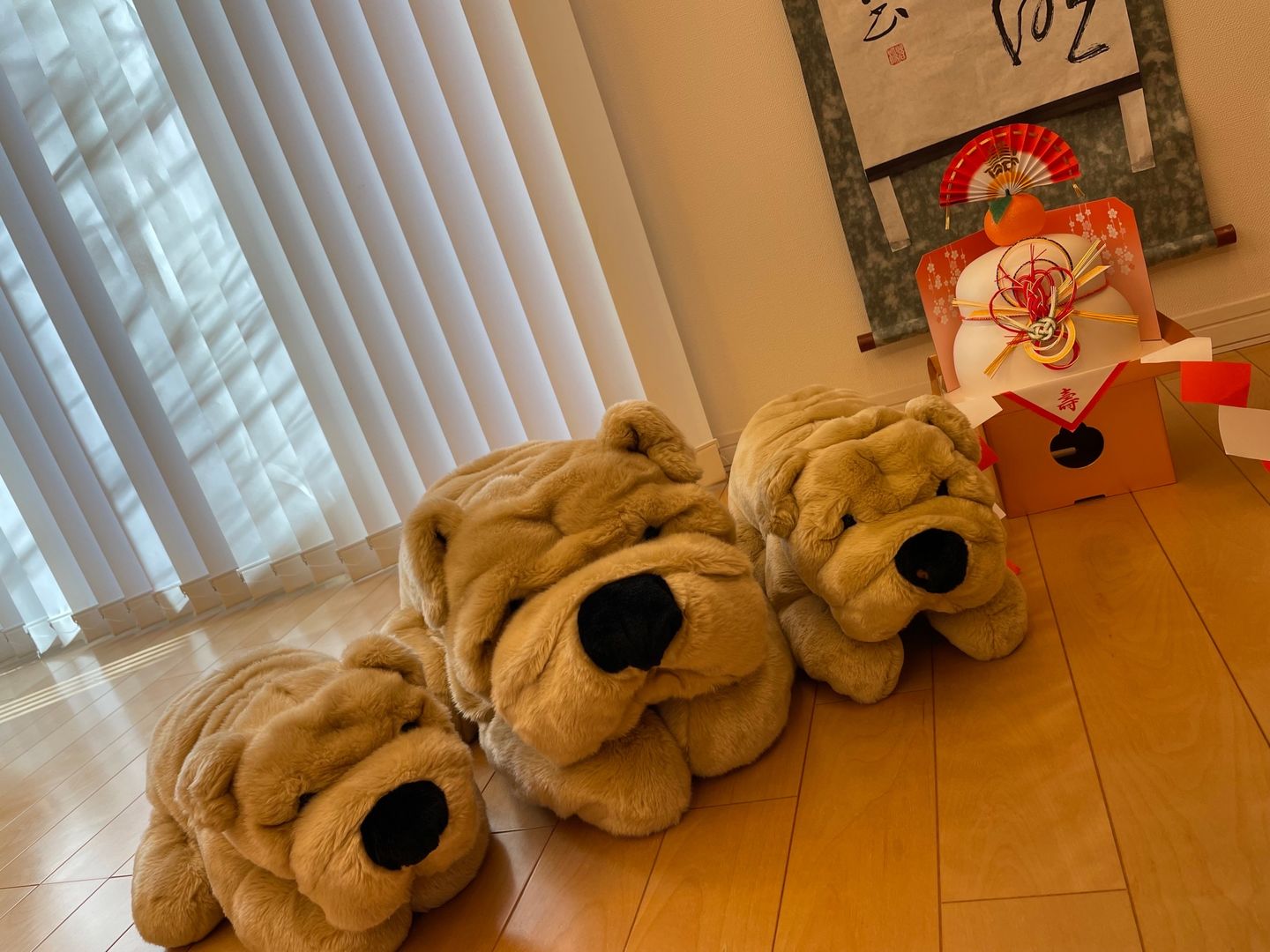 Customer photo review of Ma peluche Chien Hector