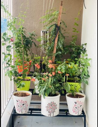 Customer photo review of 3 Step Stand for Multiple Plants and Pots Stand, Indoor Shelf Holder Rack, Gardening Stand,Indoor Outdoor (Black)