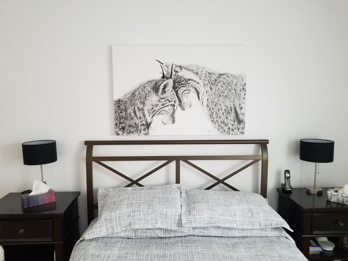 Customer photo review of Lynx in love illustration - "Social Animal" Collection