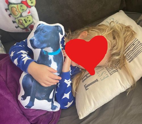 Customer photo review of Create A Custom Dog Pillow
