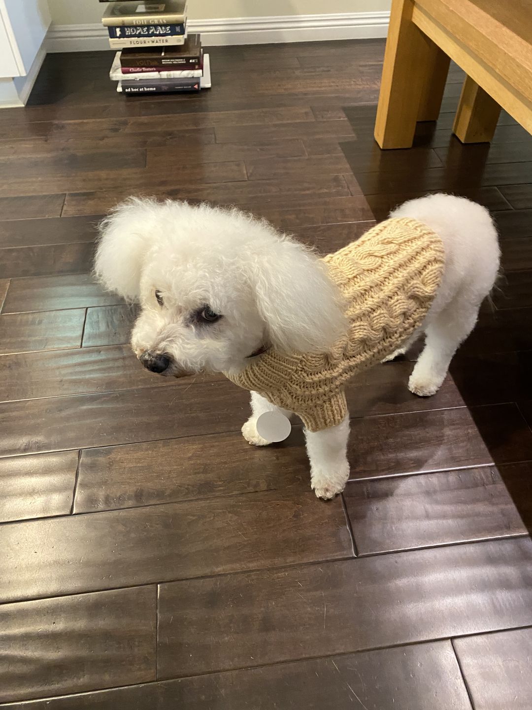 Customer photo review of Reflective All-Weather Raincoat (Wax Coat)