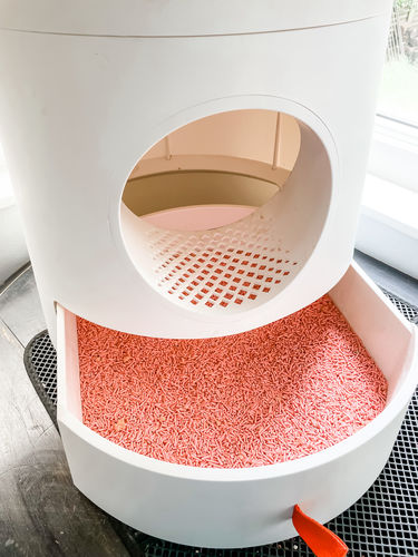 Customer photo review of Furrytail Michu Natural Clumping Tofu Cat Litter 2.5kg/6L
