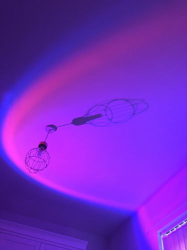 Customer photo review of The Sunset Lamp™