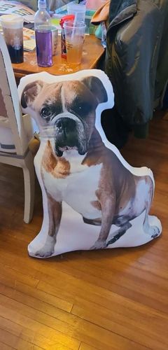 Customer photo review of Create A Custom Dog Pillow