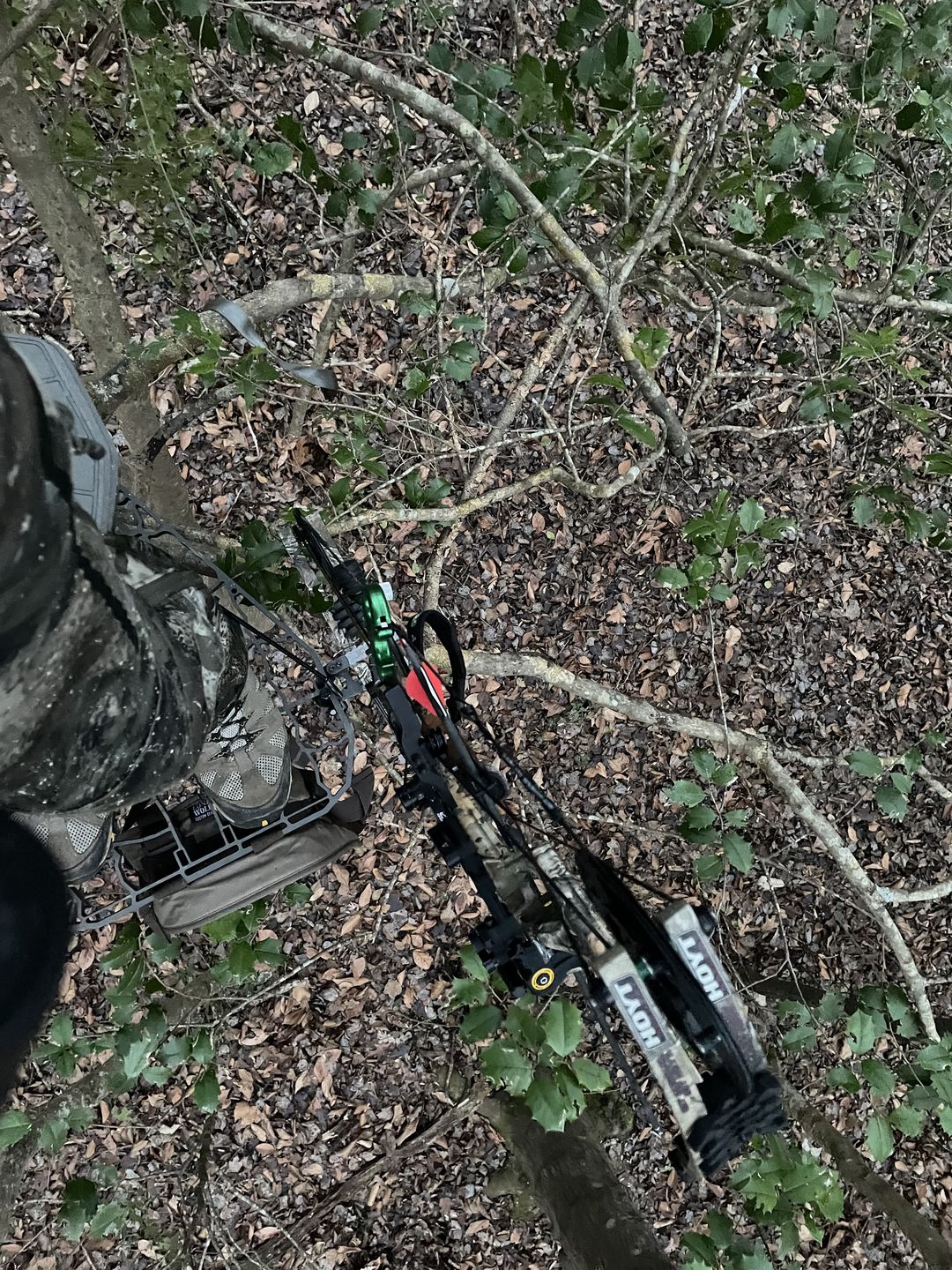 Customer photo review of Sidekick™️