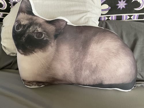 Customer photo review of Create A Custom Cat Pillow