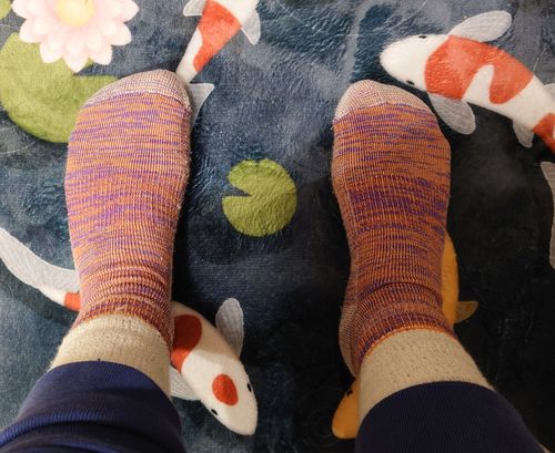 Customer photo review of J.B. Field's "Camper GX" Space Dye 74% Merino Wool Camping Crew Sock
