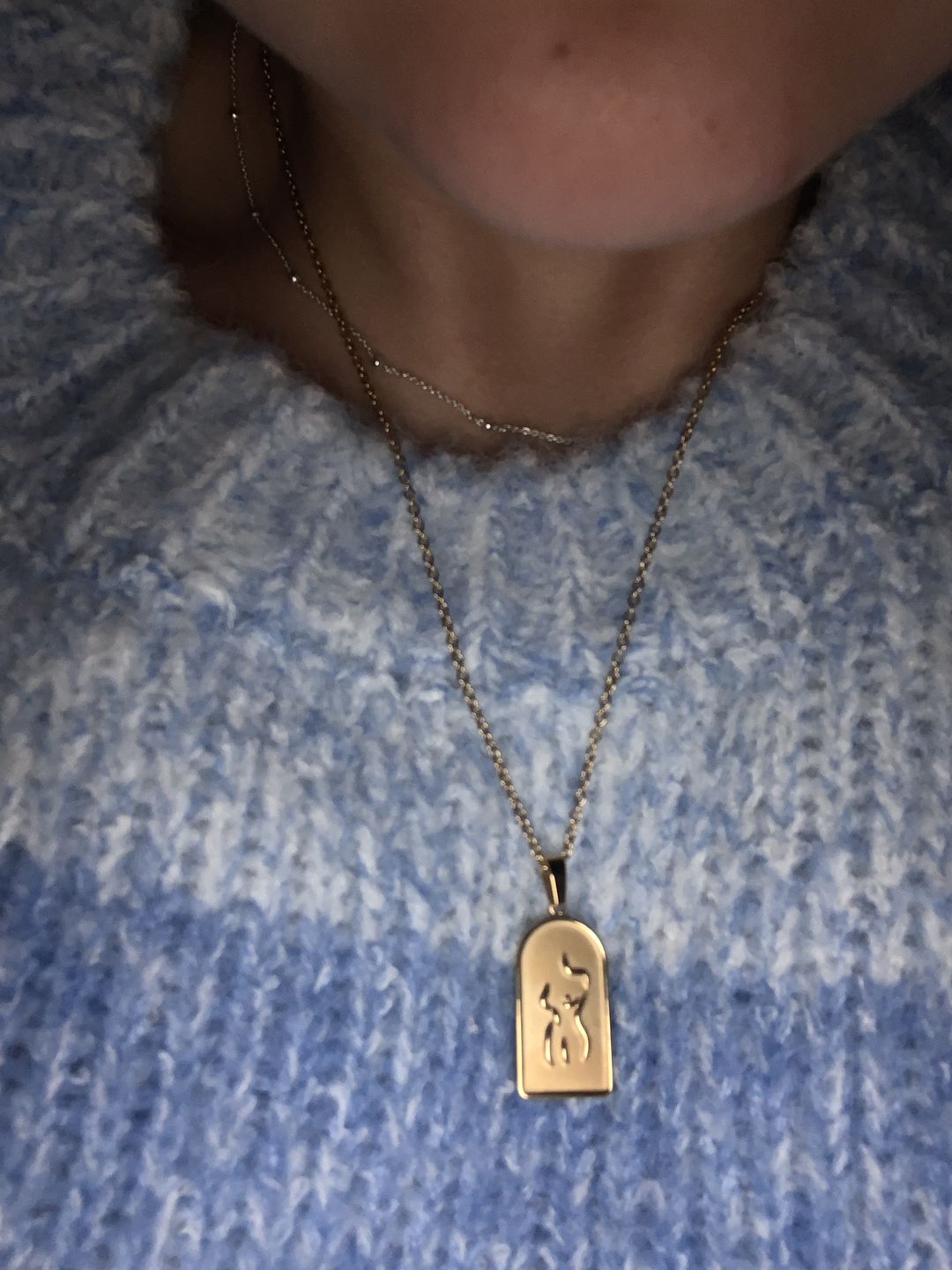 Customer photo review of Femme Necklace - Gold
