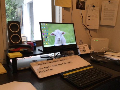 Customer photo review of DeskBoard Buddy™