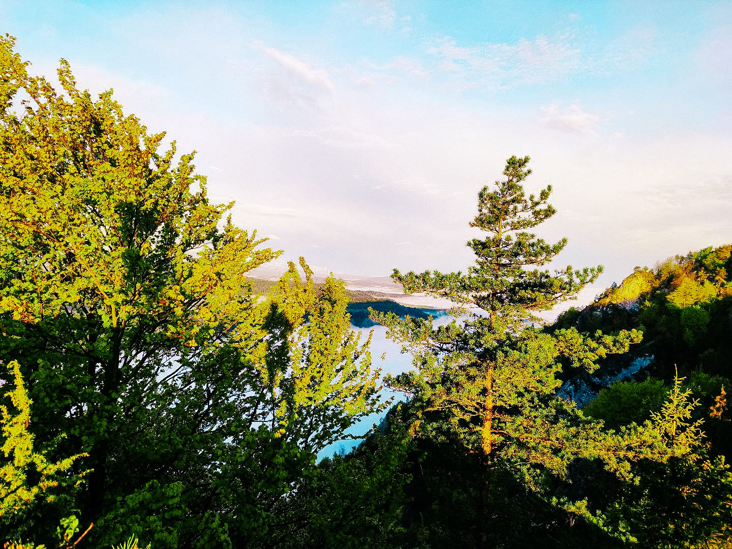 Customer photo review of NATURE LIGHTROOM PRESETS