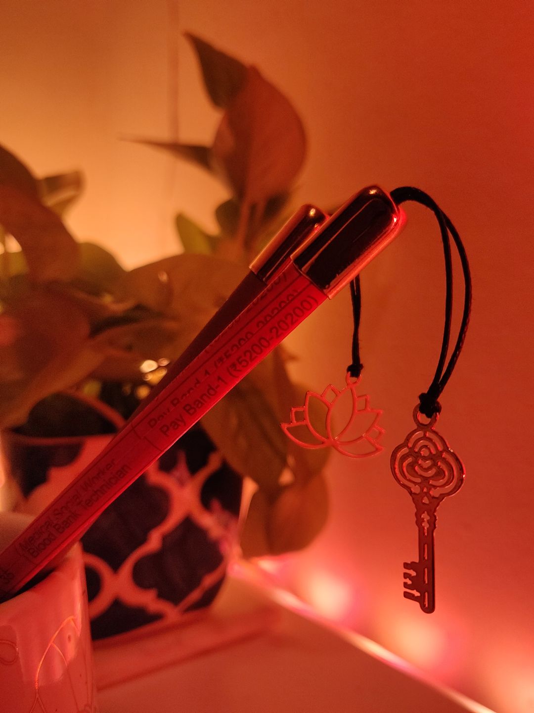 Customer photo review of Pencils with Charms - Assorted