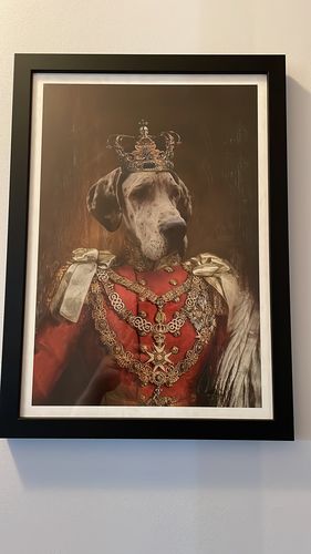 Customer photo review of The Prince - Custom Vintage Pet Portrait