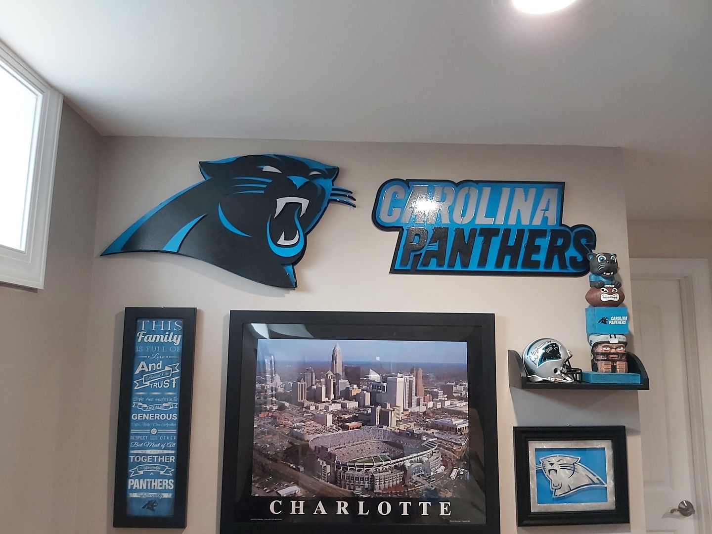 Customer photo review of Carolina Panthers 3D Vintage Metal Wall Art