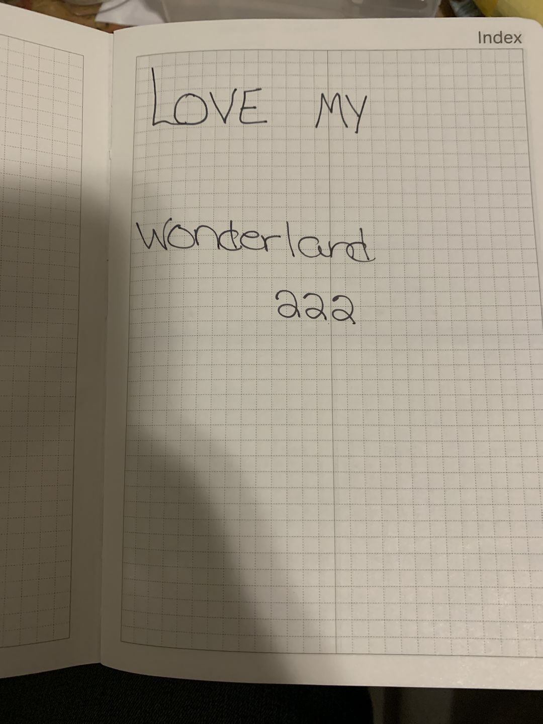 Customer photo review of B6 2022 Weekly Planner - 52gsm Tomoe River Paper