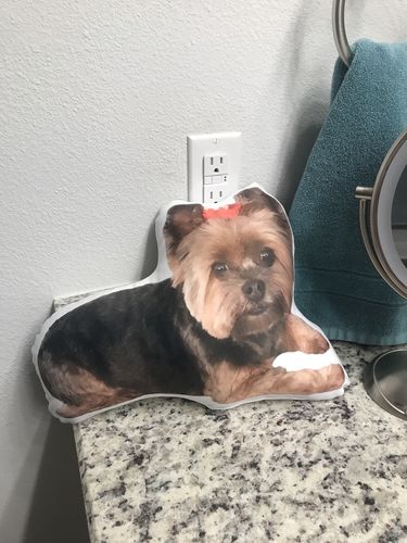 Customer photo review of Create A Custom Cat Pillow