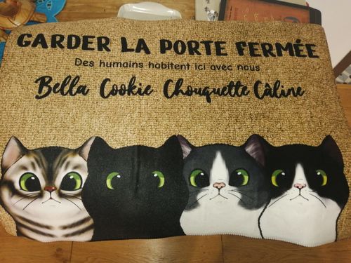 Petprinted Paillasson Personnalise Avec Chats Chats Curieux 70 X 50 Cm Pet Printed Fr