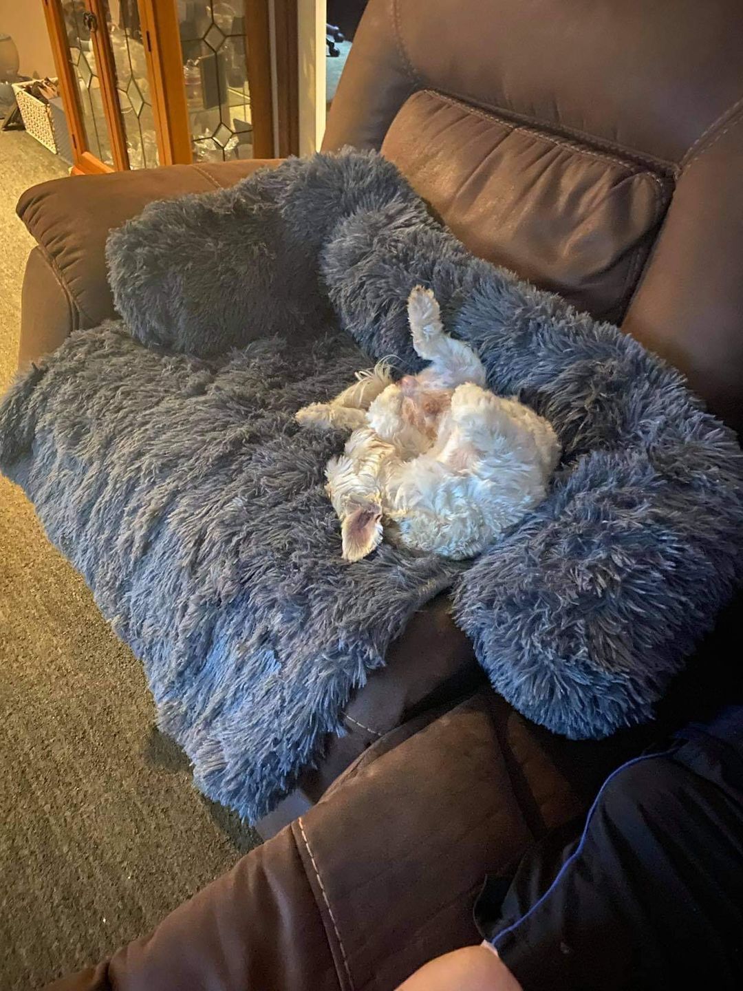 Customer photo review of CalmCouch - Motverkar ångest & skyddar din soffa