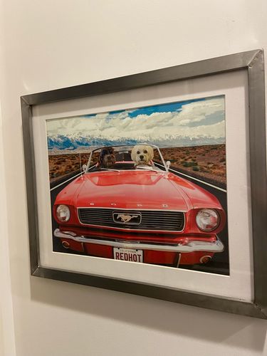 Customer photo review of The Road Trip - Custom Pet Portrait