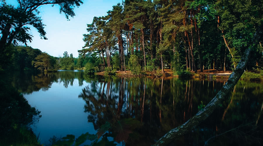 Customer photo review of NATURE LIGHTROOM PRESETS