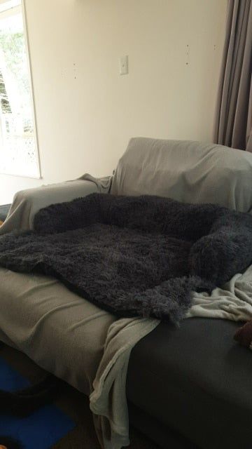 Customer photo review of CalmCouch - Motverkar ångest & skyddar din soffa