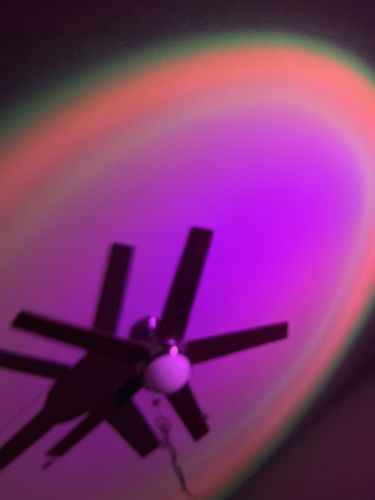 Customer photo review of The Sunset Lamp™