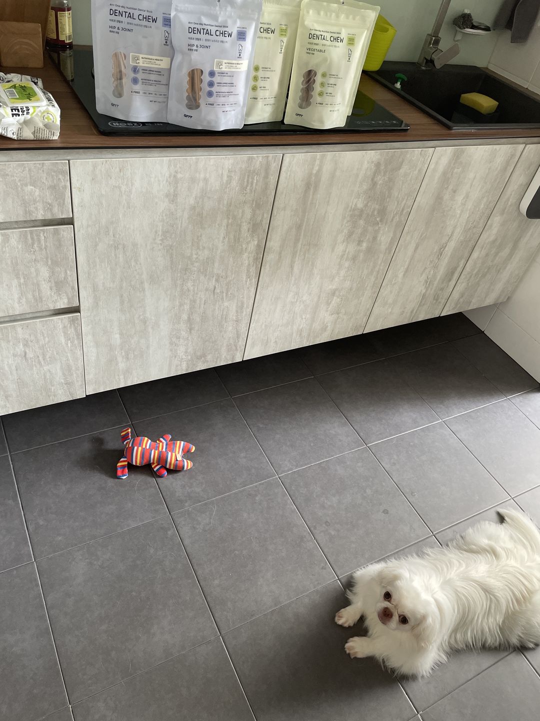 Customer photo review of arrr Dental Chew