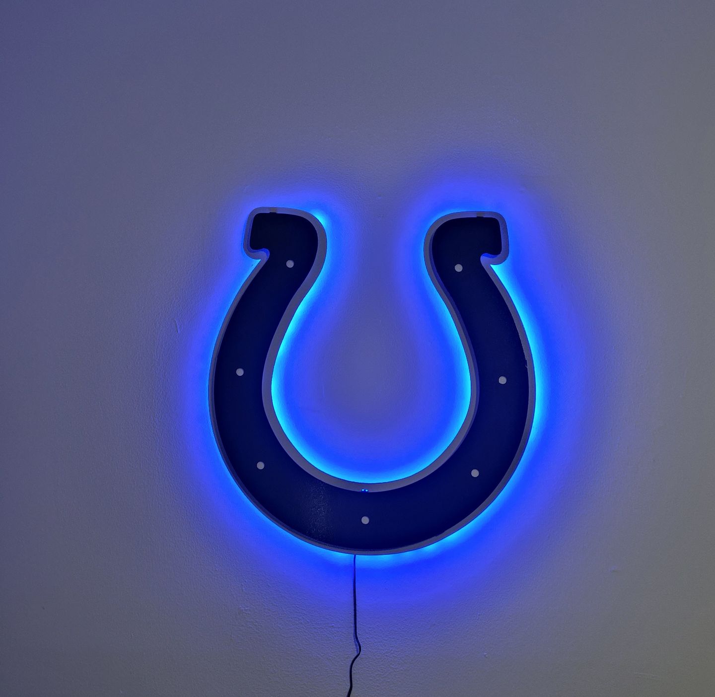 Customer photo review of Indianapolis Colts Horseshoe 3D Vintage Metal Wall Art