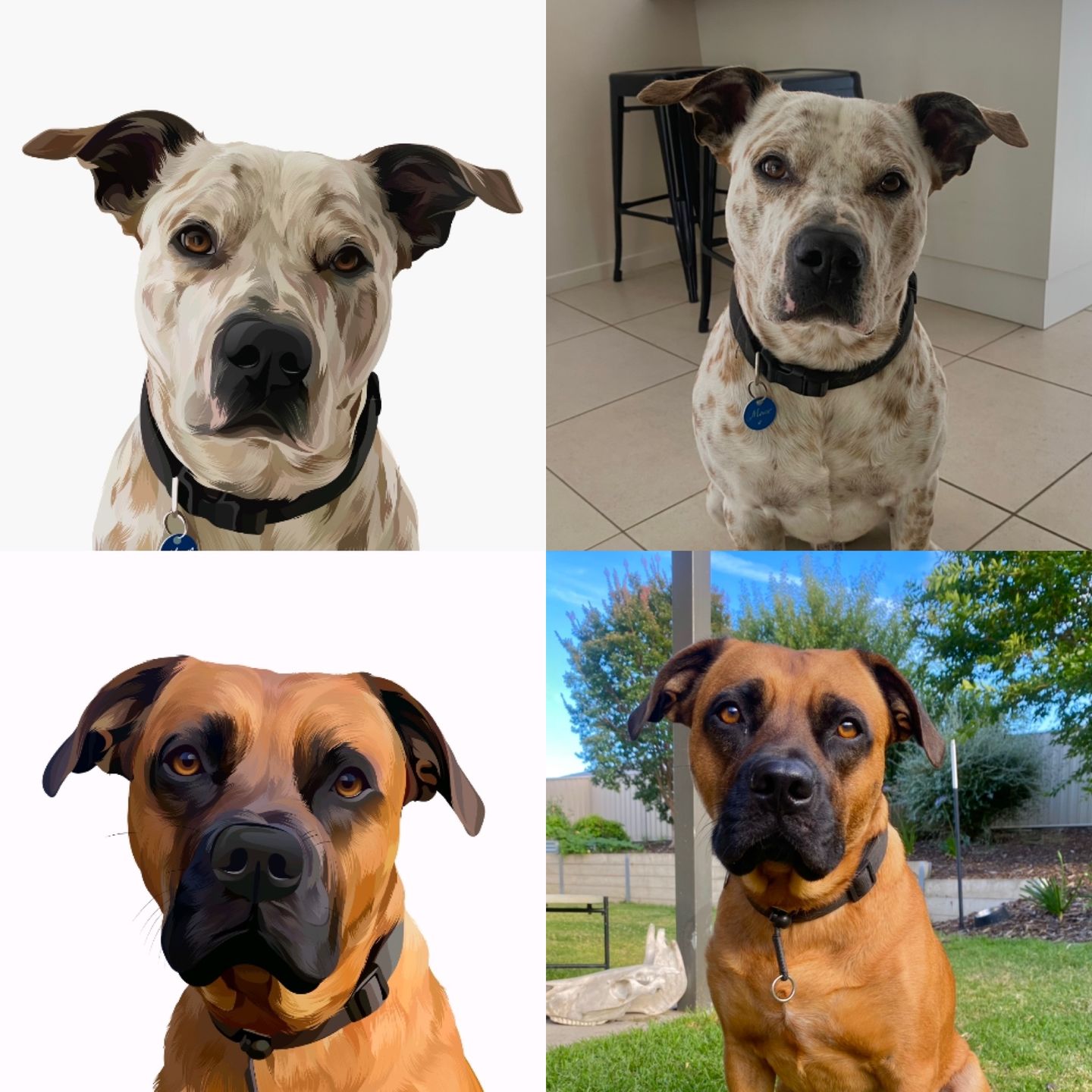 Customer photo review of Custom Pet Portrait (Digital Copy)
