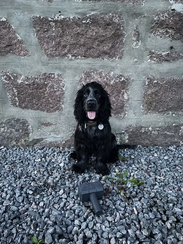 Customer photo review of The Fenrir Hammer