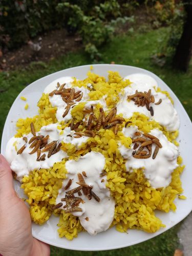 Customer photo review of BlackTasty™ Getrocknete Soldatenfliegenlarven