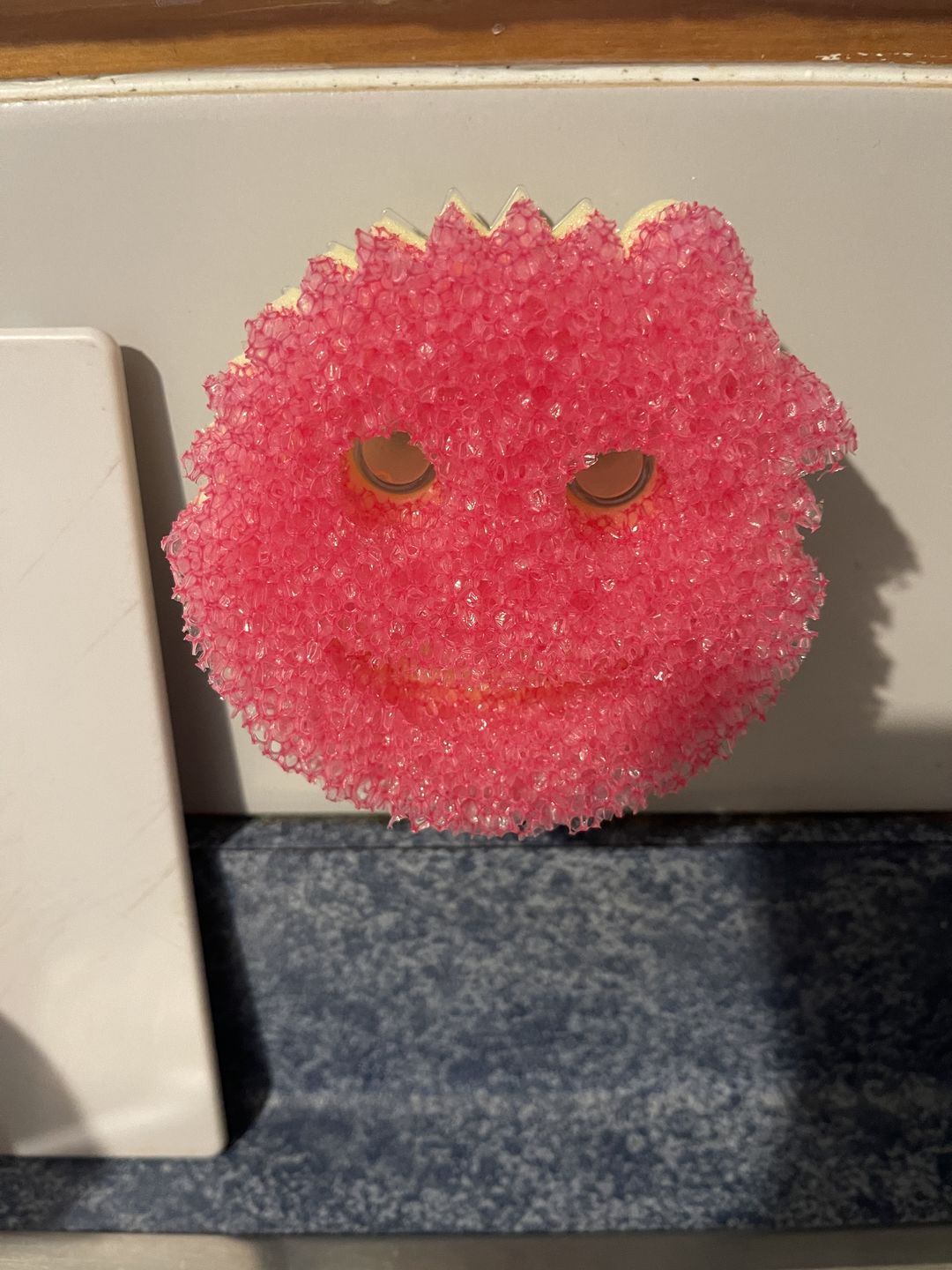 Customer photo review of Scrub Mommy