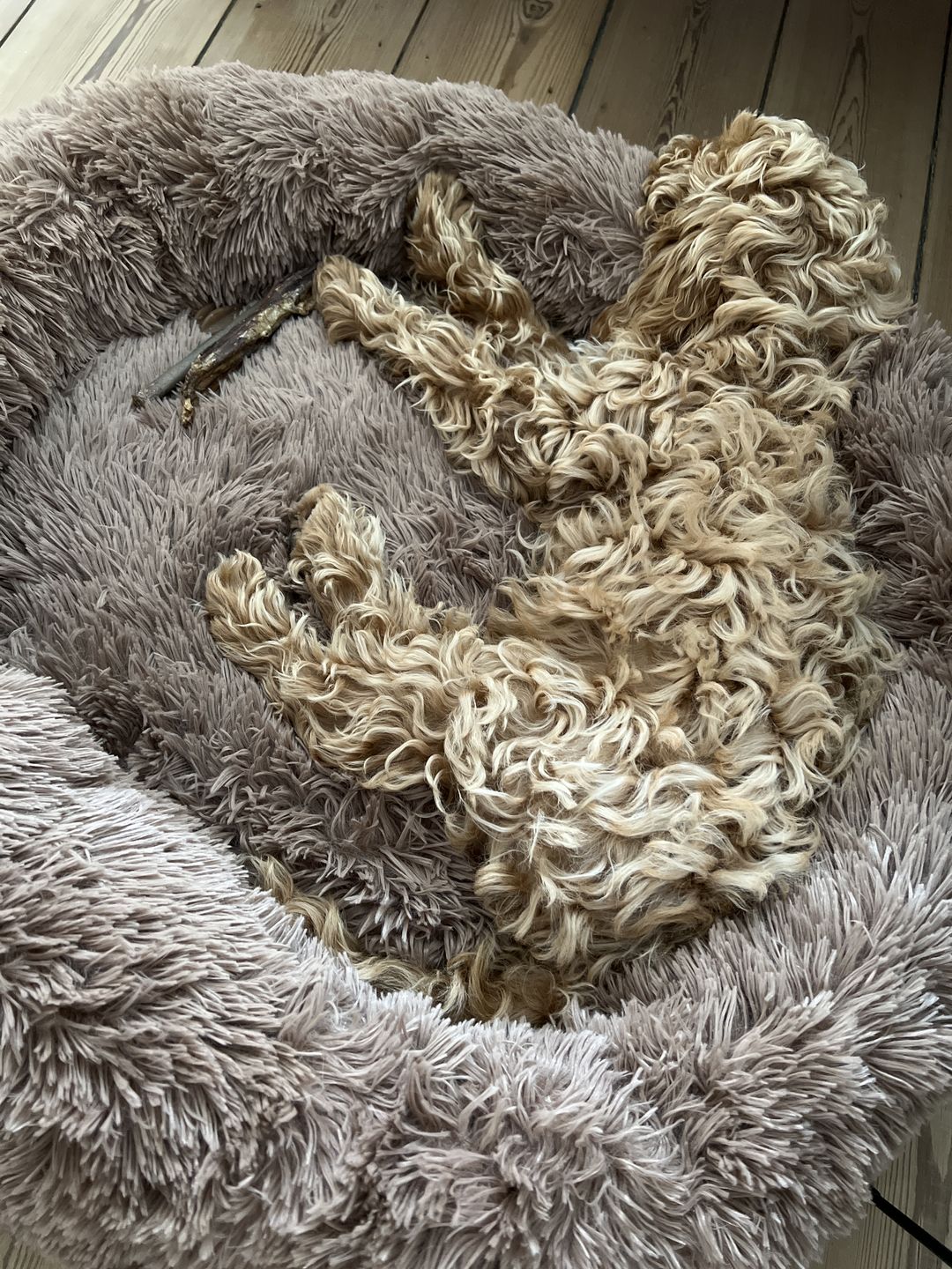 Customer photo review of THE ORIGINAL - Donut hundeseng (brun)