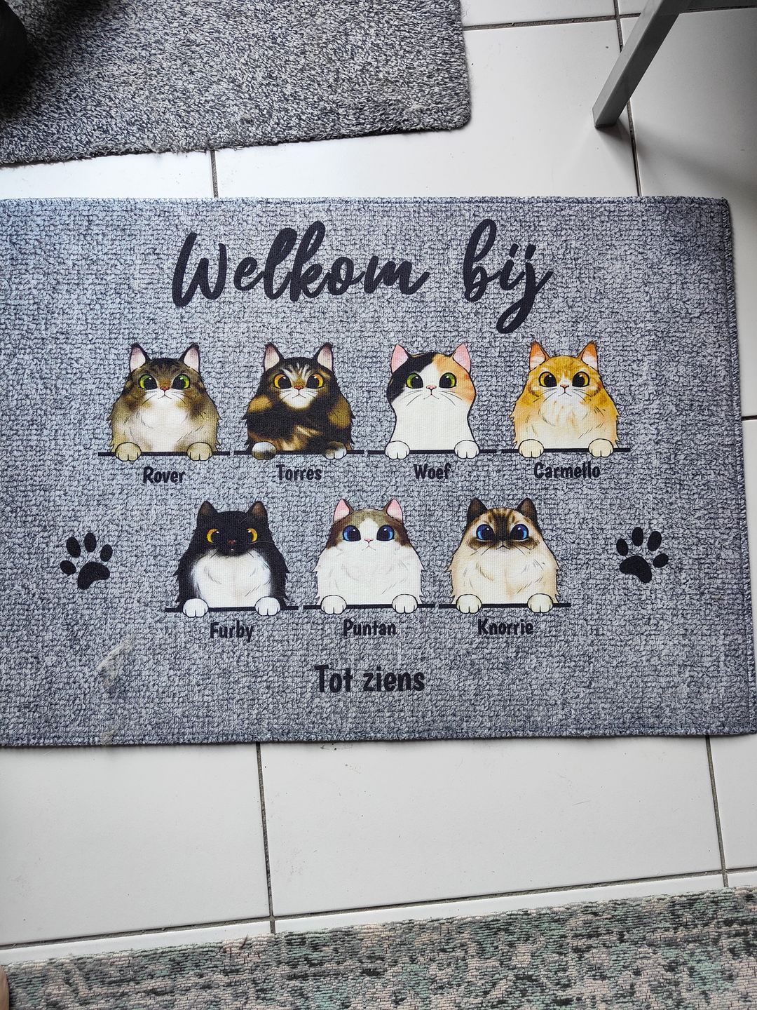 Customer photo review of Welkom bij nieuwsgierige katten - Gepersonaliseerde deurmat