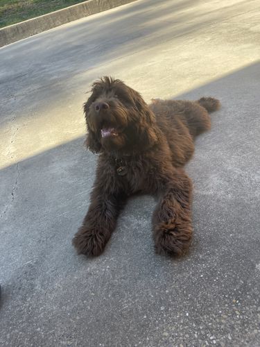 Customer photo review of Explorer Silicone