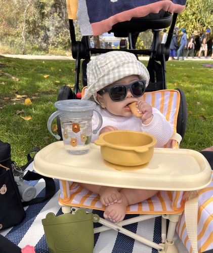 Customer photo review of Brighton baby chair