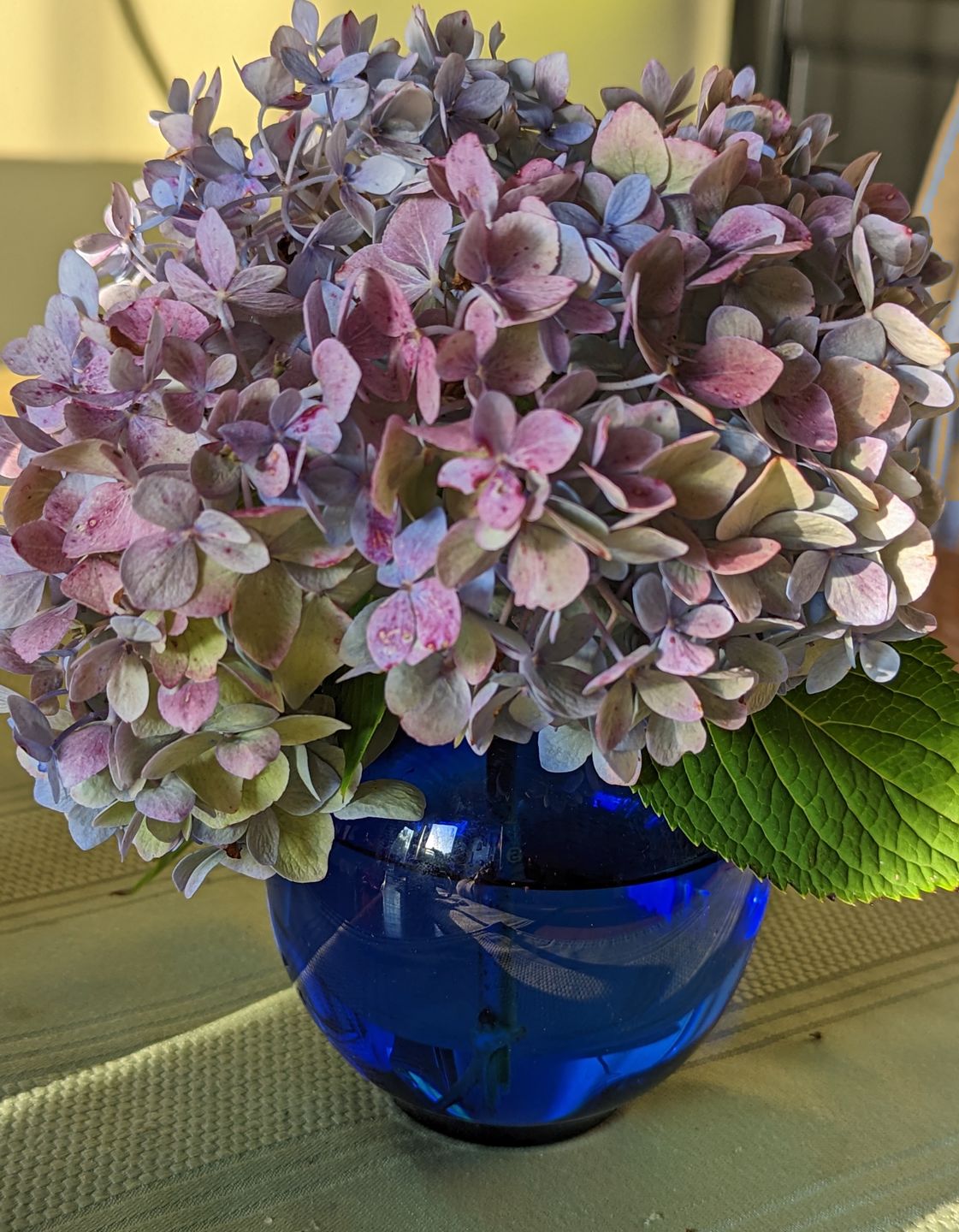 Customer photo review of Bud Vase