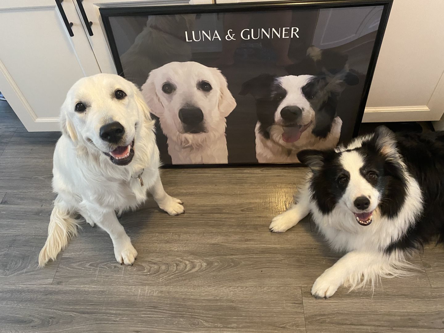 Customer photo review of Two-Pet Portrait