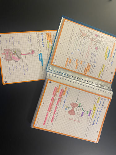 Avis photo d'un client sur Fiches de révision REVISION 2.0 OXFORD # 50 fiches 14,8 x 21 cm - petits carreaux