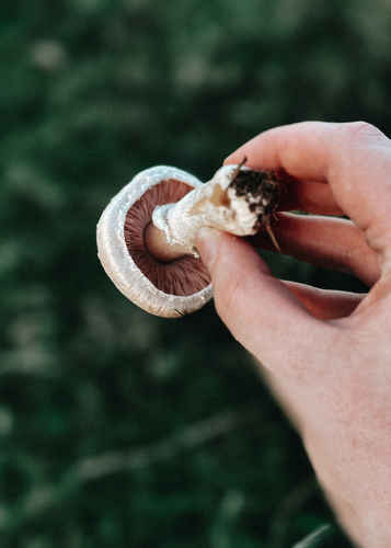 Customer photo review of MOODY WINTER LIGHTROOM PRESETS