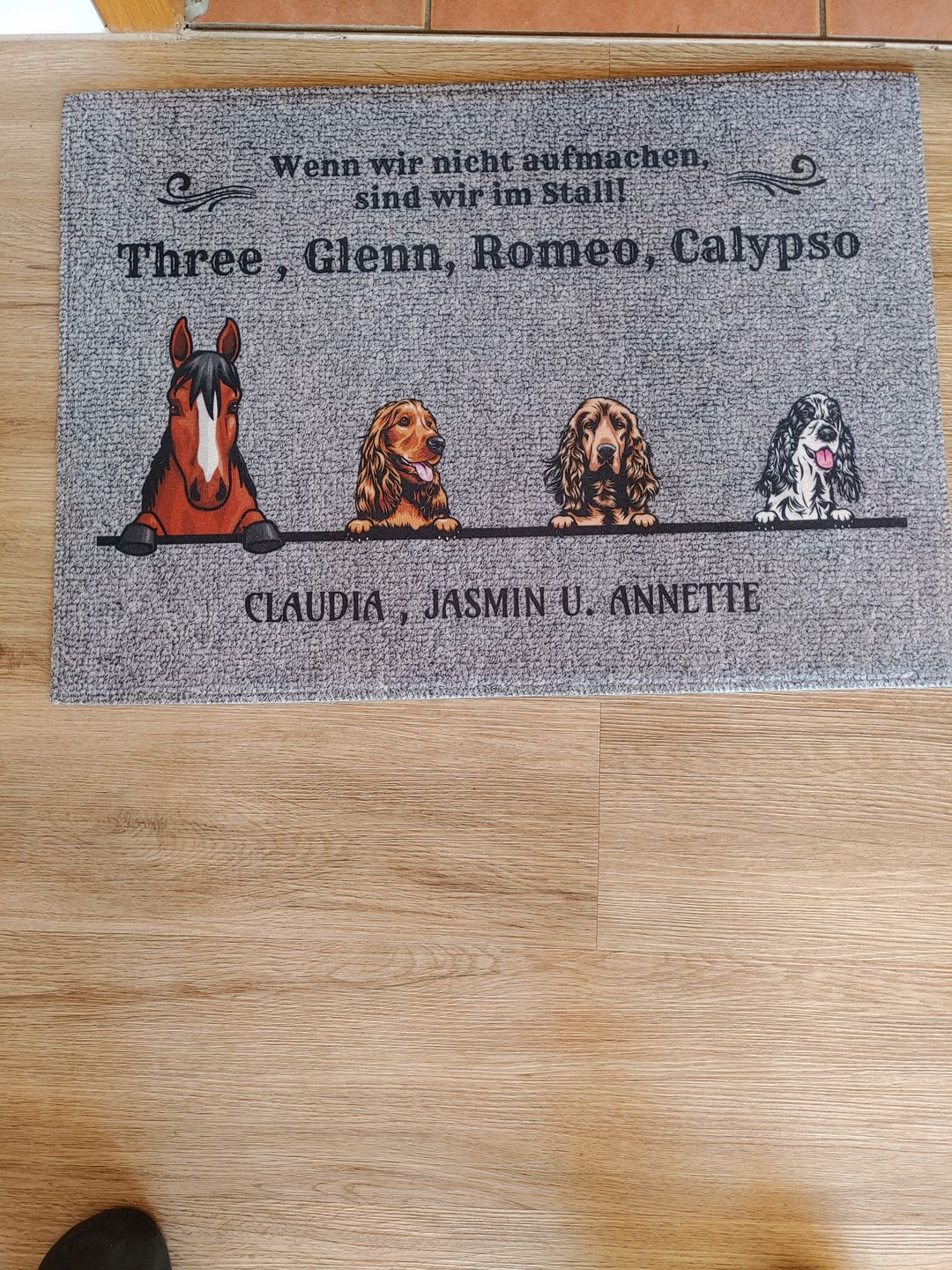 Customer photo review of Katzen holen ihr Personal - Individuelle Fußmatte