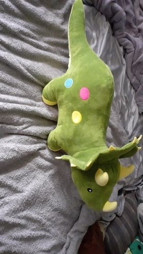 Customer photo review of Triceratop Friend Plush