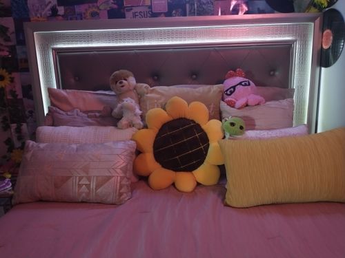 Customer photo review of Golden Sunflower Plush Cushion