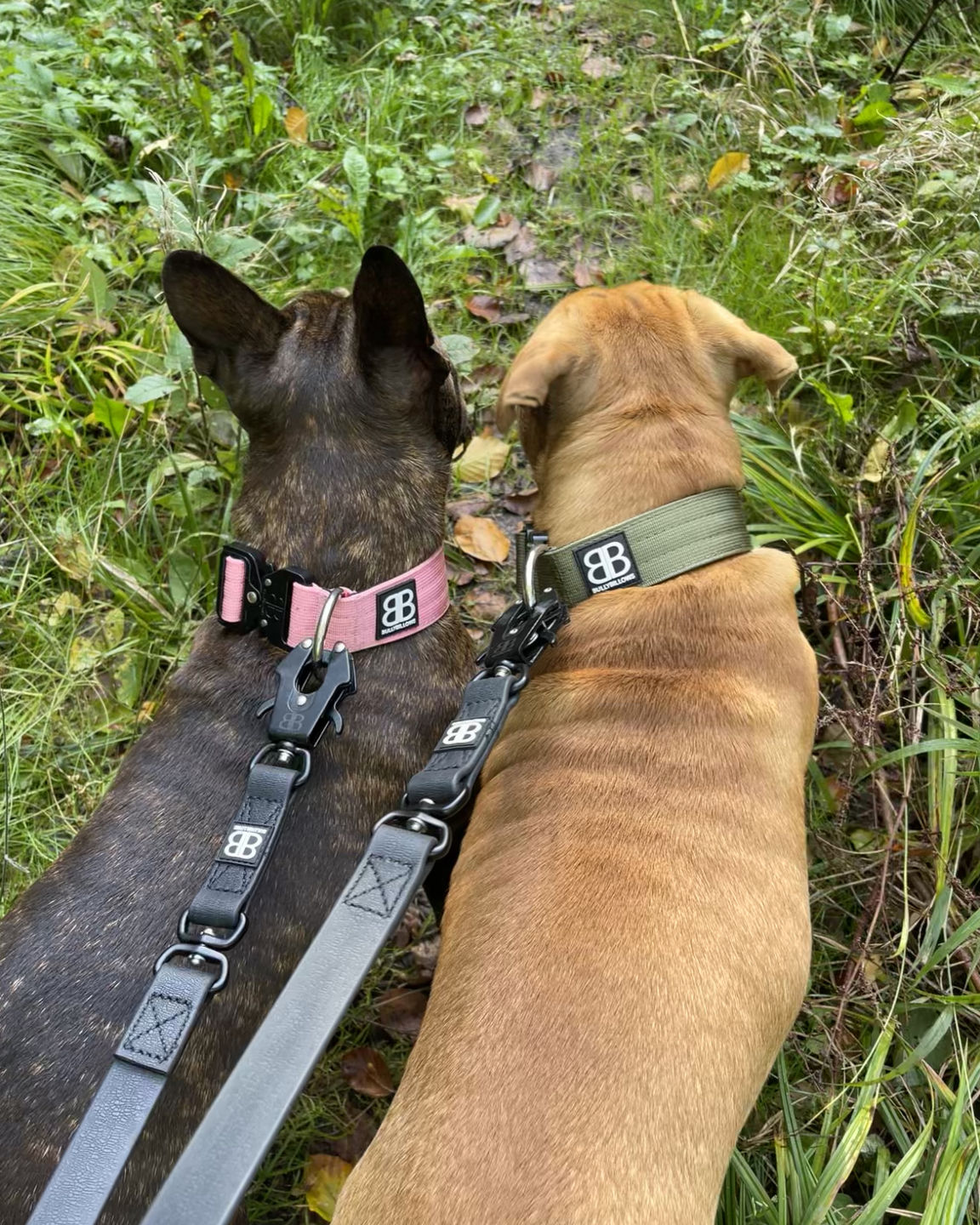 Customer photo review of Billowthane® Swivel Lead | Anti-Tangle & Waterproof - Matte Black
