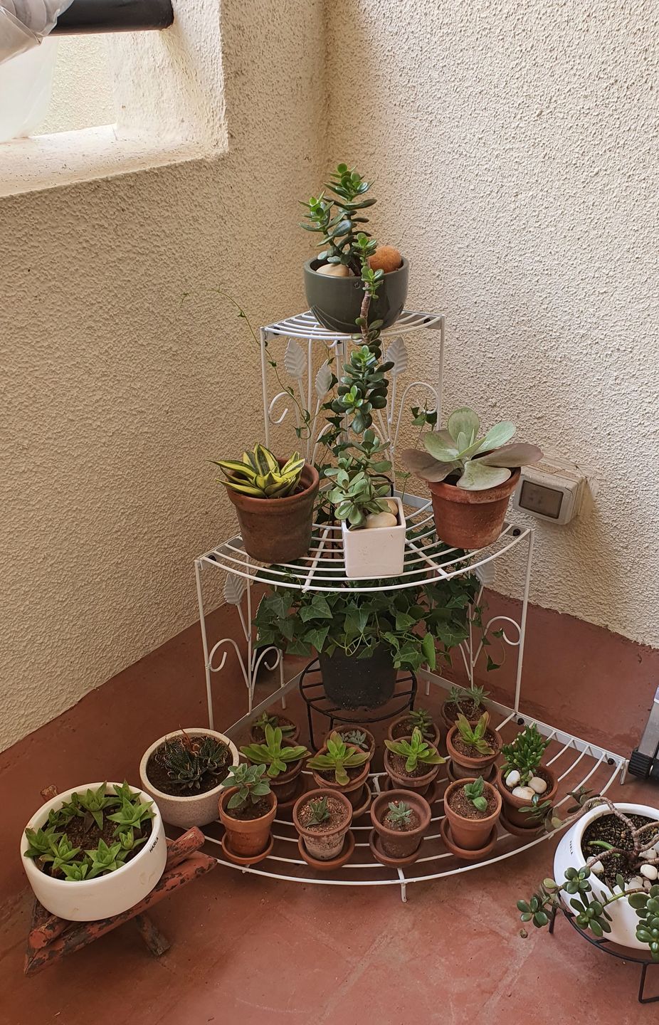 Customer photo review of 3 Tier Plant Stand Floral Corner Shelf Metal Flower Pot
