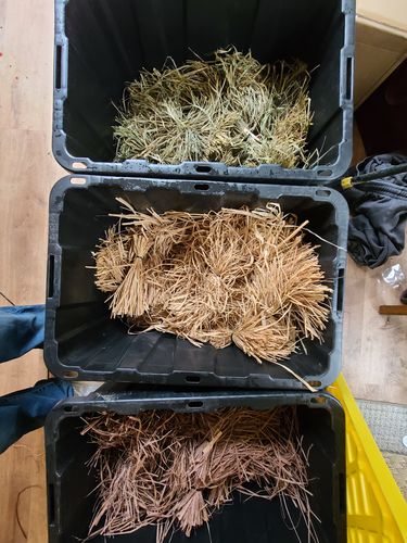Customer photo review of Hunting Blind Raffia Grass (Pack)