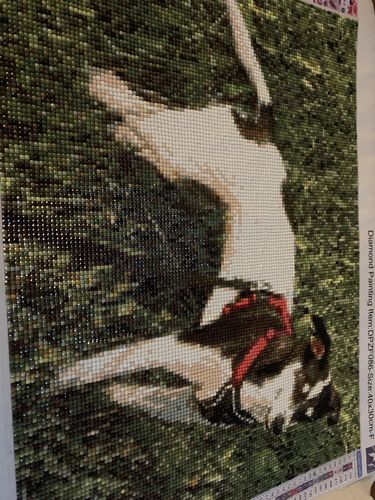 Customer photo review of Diamond Painting - Dein Wunschmotiv