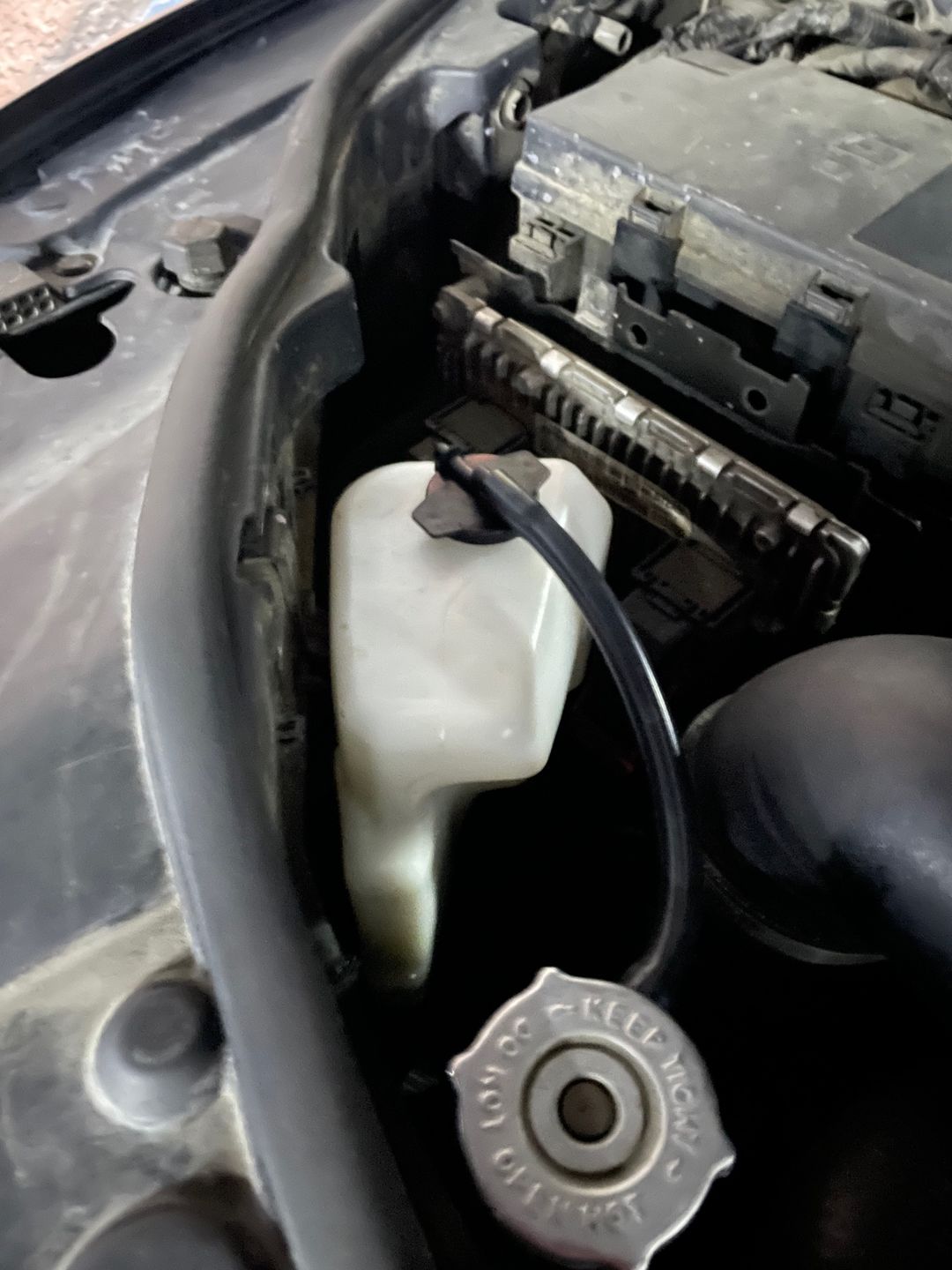 Customer photo review of RIPP Replacement Coolant Reservoir