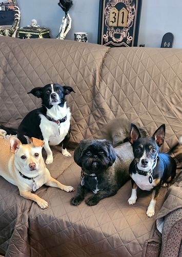 Customer photo review of Black